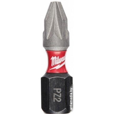 Набор бит Milwaukee 4932430863 (2 предмета)
