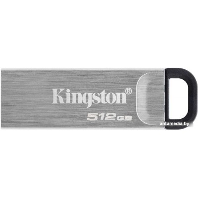 USB Flash Kingston Kyson 512GB