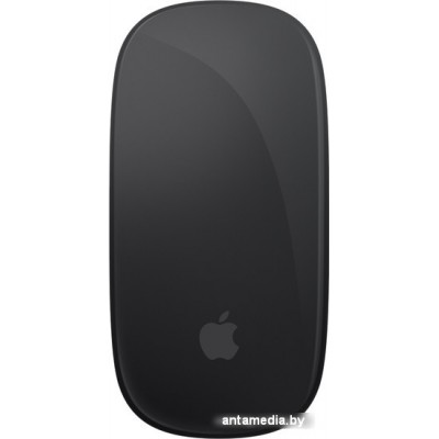 Мышь Apple Magic Mouse (черный)