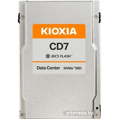 SSD Kioxia CD7-R 3.84TB KCD71RUG3T84