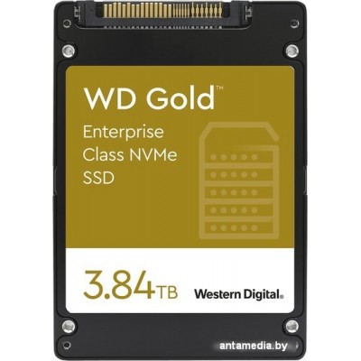 SSD WD Gold 3.84TB WDS384T1D0D