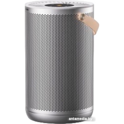 Очиститель воздуха SmartMi Air Purifier P2 ZMKQJHQP21