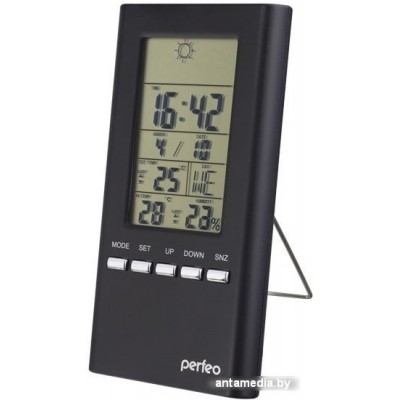 Метеостанция Perfeo Meteo PF-S3331F (черный)