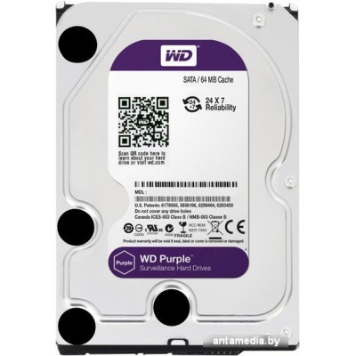 Жесткий диск WD Purple 1TB (WD10PURX)