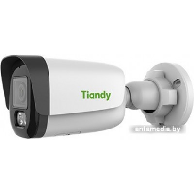 IP-камера Tiandy TC-C34WS I5W/E/Y/4mm/V4.2