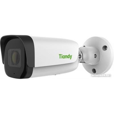 IP-камера Tiandy TC-C35US I8/A/E/Y/M/S/H/2.7-13.5mm/V4.0