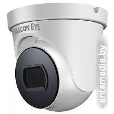 IP-камера Falcon Eye FE-IPC-D5-30pa