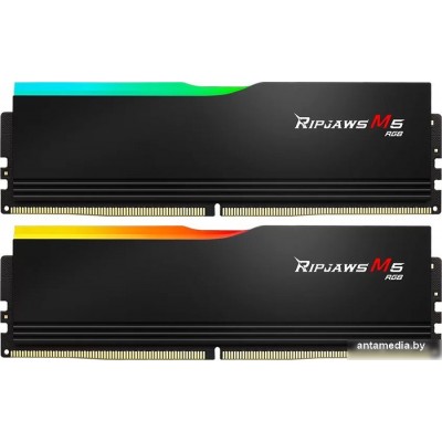 Оперативная память G.Skill Ripjaws M5 RGB 2x16ГБ DDR5 5600 МГц F5-5600J3036D16GX2-RM5RK