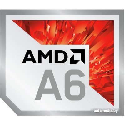 Процессор AMD Pro A6-9500E