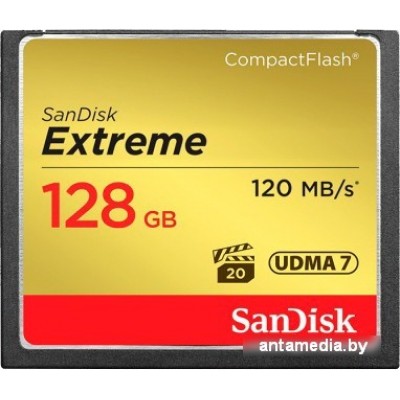 Карта памяти SanDisk Extreme CompactFlash 128GB [SDCFXSB-128G-G46]