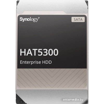 Жесткий диск Synology HAT5300 4TB HAT5300-4T