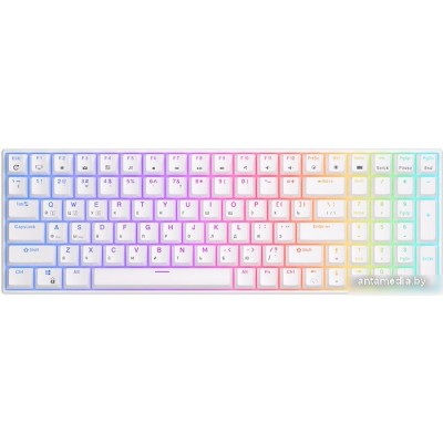 Клавиатура Royal Kludge RK100 RGB (белый, RK Red)