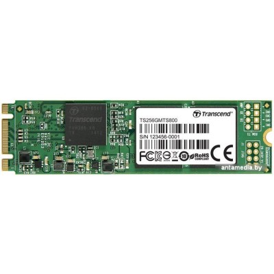 SSD Transcend MTS800 256GB (TS256GMTS800)