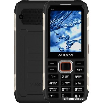 Мобильный телефон Maxvi T12 (черный)