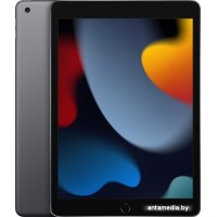 Планшет Apple iPad 10.2" 2021 256GB MK2N3 (серый космос)