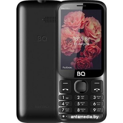 Мобильный телефон BQ-Mobile BQ-3590 Step XXL+ (черный)