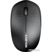 Мышь Canyon MW-04 (черный)