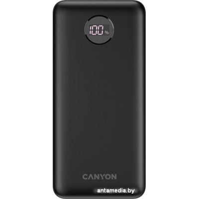 Внешний аккумулятор Canyon PB-2002 20000mAh (черный)