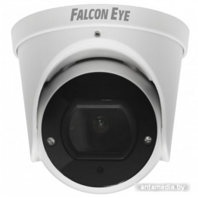 IP-камера Falcon Eye FE-IPC-DV2-40pa