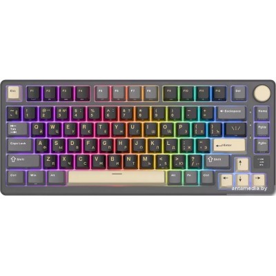 Клавиатура Royal Kludge RK-M75 RGB (Phantom, RK Silver)