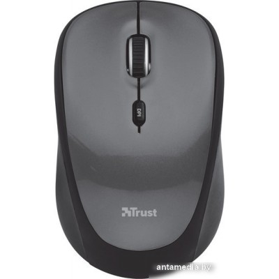 Мышь Trust Yvi Wireless Mouse - black (18519)