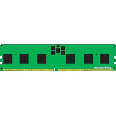 Оперативная память Kingston 16ГБ DDR5 5600 МГц KSM56R46BS8PMI-16HAI