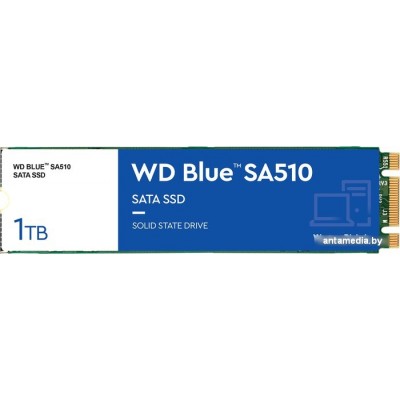 SSD WD Blue 1TB WDS100T3B0B