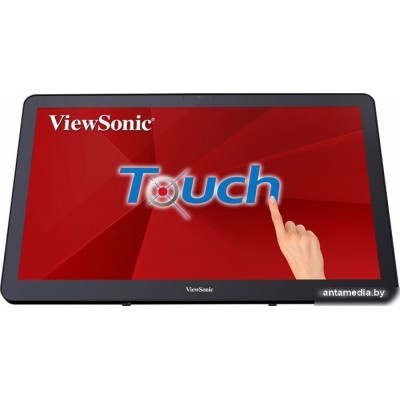 Монитор ViewSonic TD2430