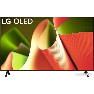 OLED телевизор LG OLED B4 OLED55B4RLA