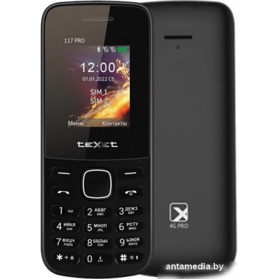 Кнопочный телефон TeXet TM-117 Pro (черный)