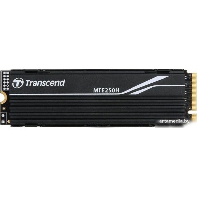 SSD Transcend 250H 2TB TS2TMTE250H