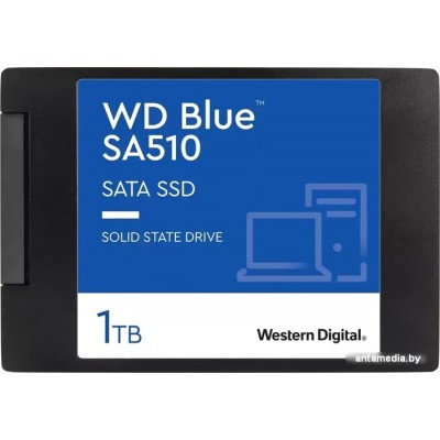 SSD WD Blue SA510 1TB WDS100T3B0A