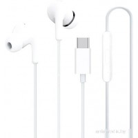 Наушники Xiaomi Type-C Earphones M2413E1 (белый, международная версия)