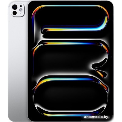 Планшет Apple iPad Pro 11" 2024 256GB (серебристый)