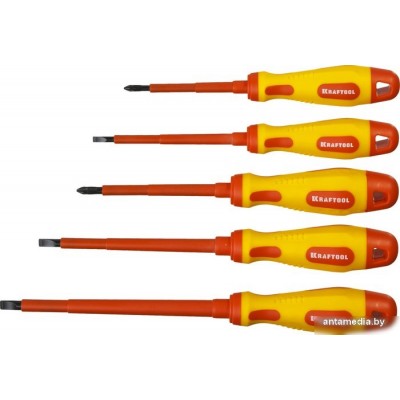 Набор отверток KRAFTOOL 250088-H6 (6 предметов)