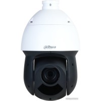 IP-камера Dahua DH-SD49216DB-HNY