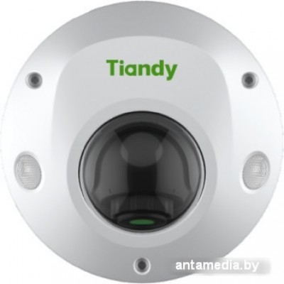 IP-камера Tiandy TC-C35PS I3/E/Y/M/H/2.8MM/V4.2