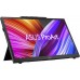 Портативный монитор ASUS ProArt PA169CDV