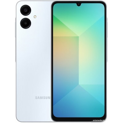 Смартфон Samsung Galaxy A06 SM-A065F 4GB/64GB (голубой)