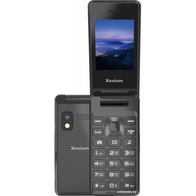 Кнопочный телефон Xenium X600 (темно-серый)