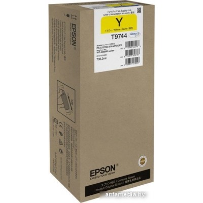 Чернила Epson C13T974400