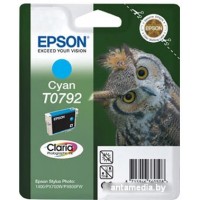 Картридж Epson C13T07924010
