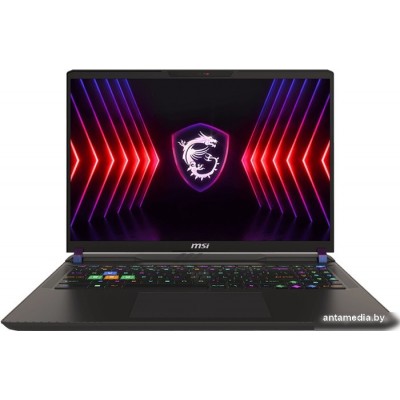 Игровой ноутбук MSI Vector 16 HX A14VGG-283RU