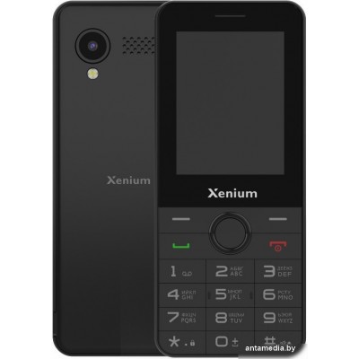 Кнопочный телефон Xenium X240 (черный)
