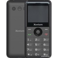 Кнопочный телефон Xenium X700 (черный)