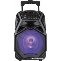 Колонка для вечеринок National NSM-V100