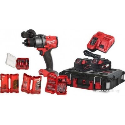 Ударная дрель-шуруповерт Milwaukee M18 FUEL Promo FPD3100P-502P 4933498240 (с 2-мя АКБ 5 Ач, кейс, набор оснастки)