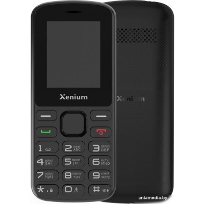 Кнопочный телефон Xenium X170 (черный)