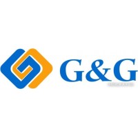 Чернила G&G GG-C13T03V14A