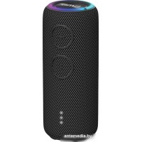 Беспроводная колонка Aiwa PAS-H200 (черный)
